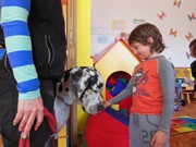 Bezpečný pes - kynologie